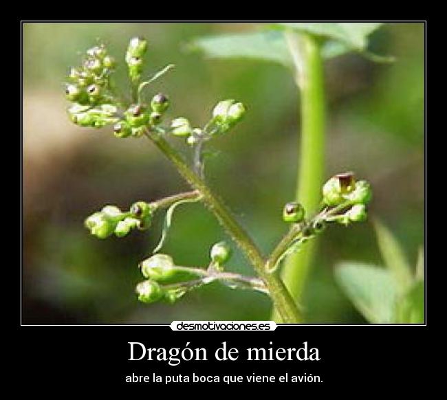 carteles cacfdsvsd desmotivaciones