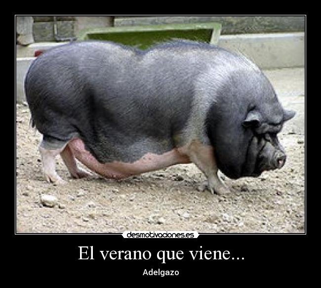 El verano que viene... -