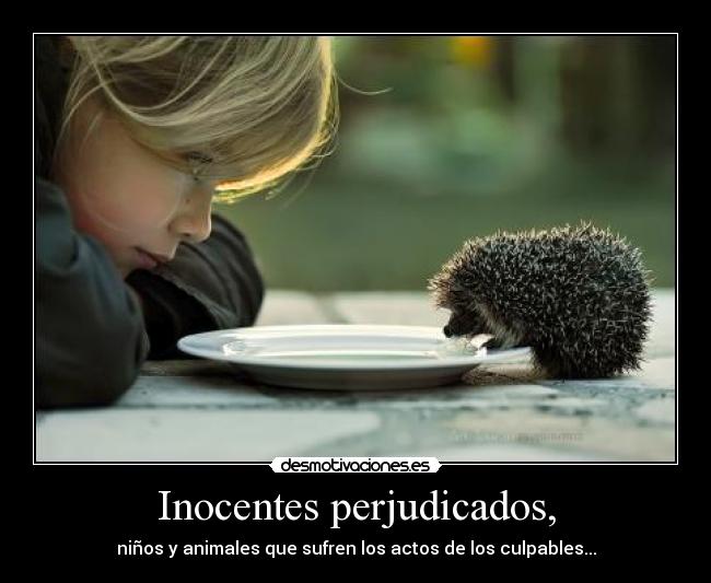 Inocentes perjudicados, - niños y animales que sufren los actos de los culpables...