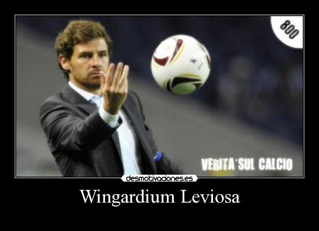 Wingardium Leviosa -