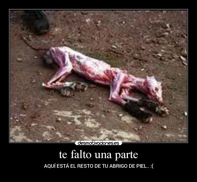 te falto una parte - AQUÍ ESTÁ EL RESTO DE TU ABRIGO DE PIEL.. :(