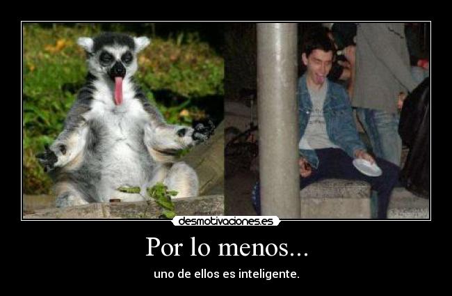Por lo menos... - uno de ellos es inteligente.
