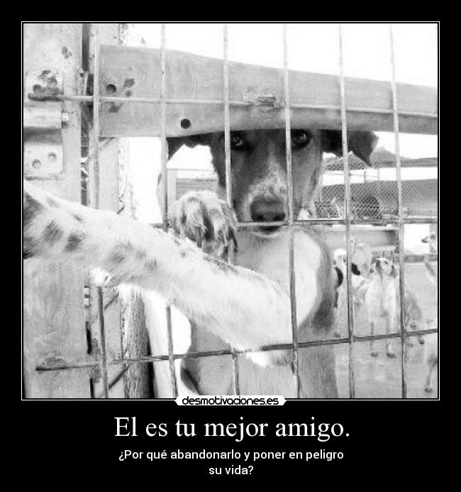 El es tu mejor amigo. - ¿Por qué abandonarlo y poner en peligro
su vida?