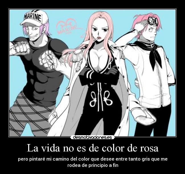 carteles vida fullbody hina coby teniente one piece desmotivaciones