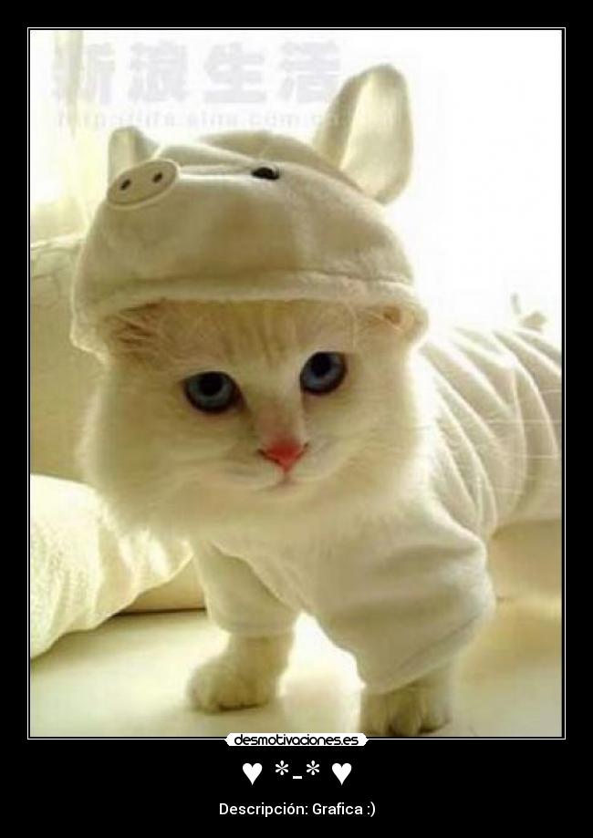 ♥ *-* ♥ - Descripción: Grafica :)
