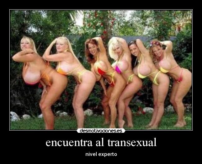 encuentra al transexual - nivel experto