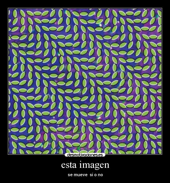esta imagen -