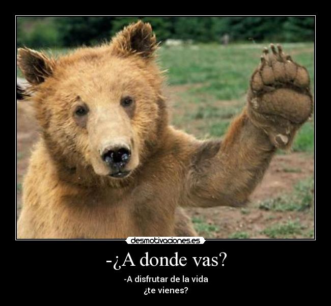 -¿A donde vas? - -A disfrutar de la vida
¿te vienes?