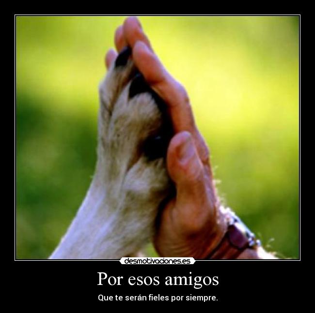 Por esos amigos - Que te serán fieles por siempre.