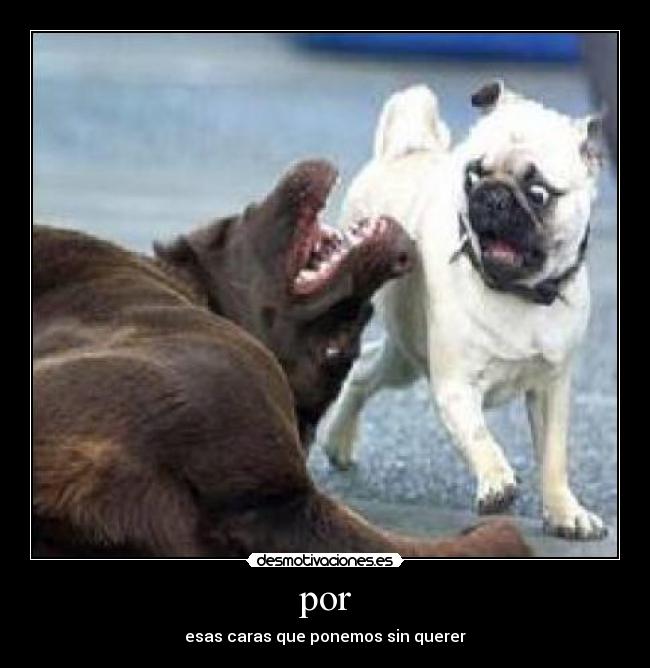 por - esas caras que ponemos sin querer