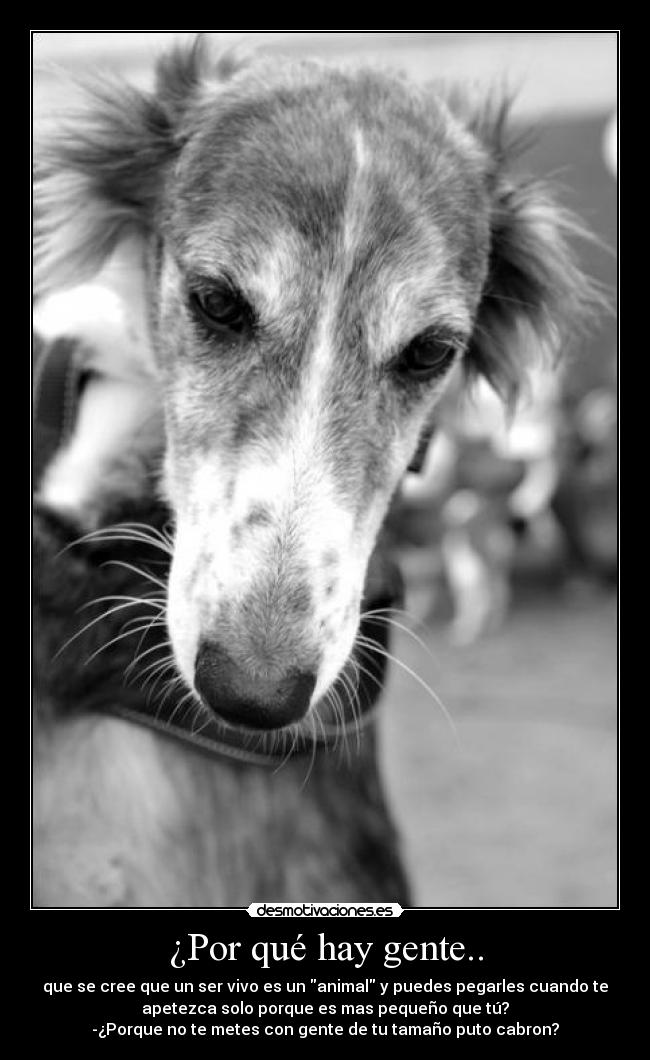 ¿Por qué hay gente.. - que se cree que un ser vivo es un animal y puedes pegarles cuando te
apetezca solo porque es mas pequeño que tú?
-¿Porque no te metes con gente de tu tamaño puto cabron?