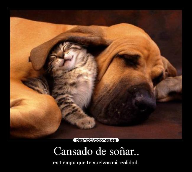 Cansado de soñar.. - es tiempo que te vuelvas mi realidad..