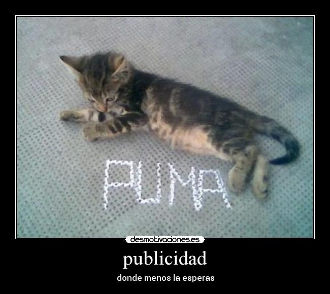 publicidad - 