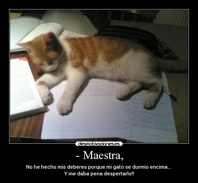 carteles sanny desmotivaciones