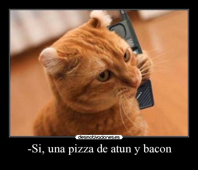 -Si, una pizza de atun y bacon -