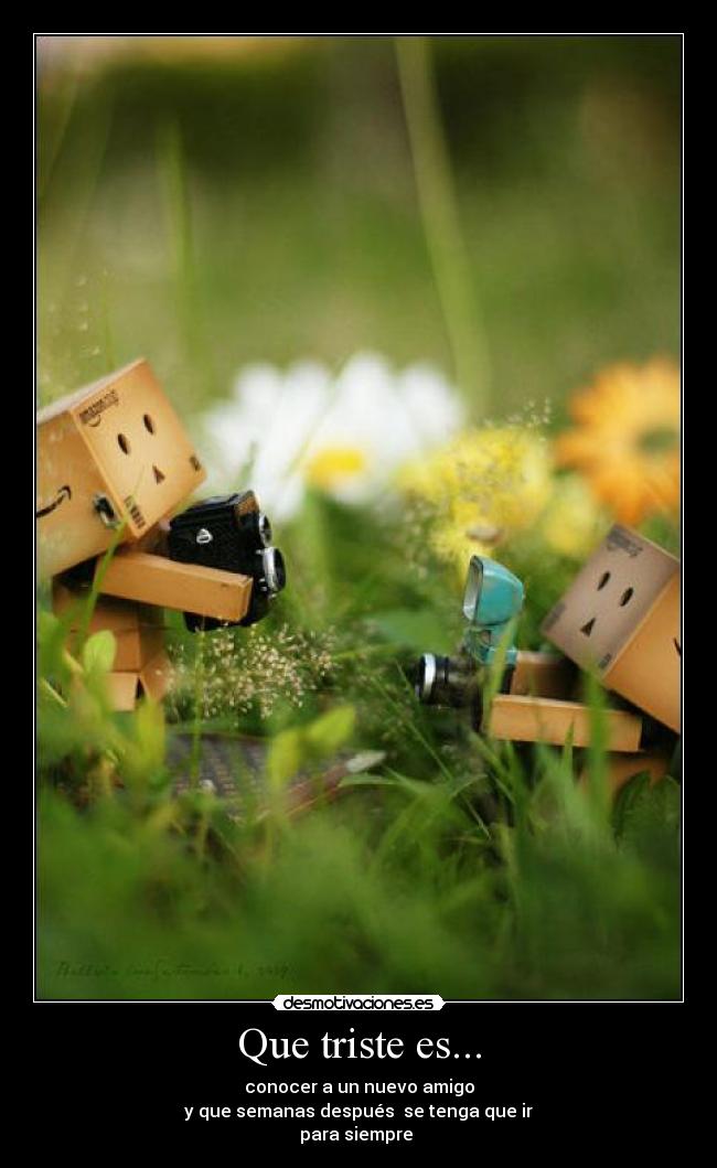 Que triste es... - conocer a un nuevo amigo
y que semanas después se tenga que ir
para siempre