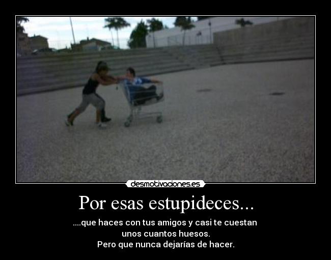 Por esas estupideces... - 