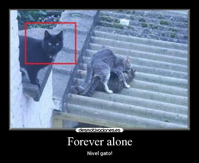 Forever alone -