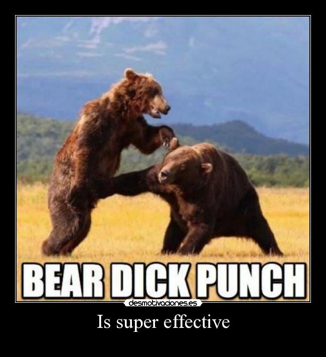 carteles osopokemondickpunchbearwalk_tblablabla desmotivaciones