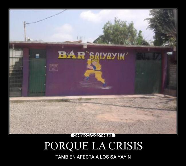 PORQUE LA CRISIS -