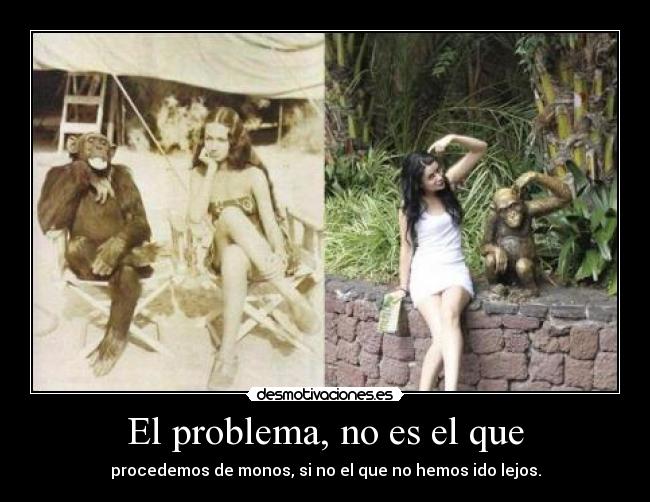 El problema, no es el que -