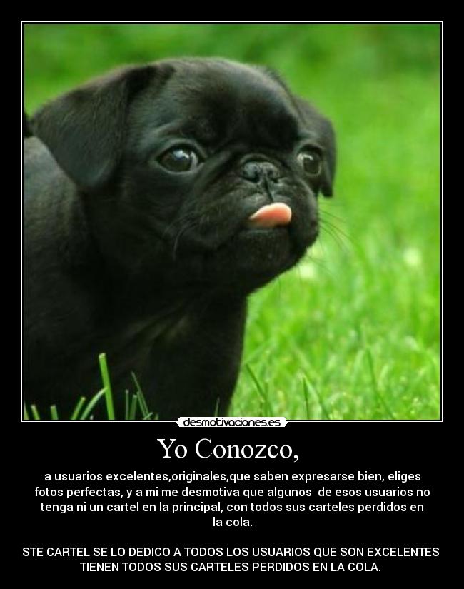 Yo Conozco,  - 