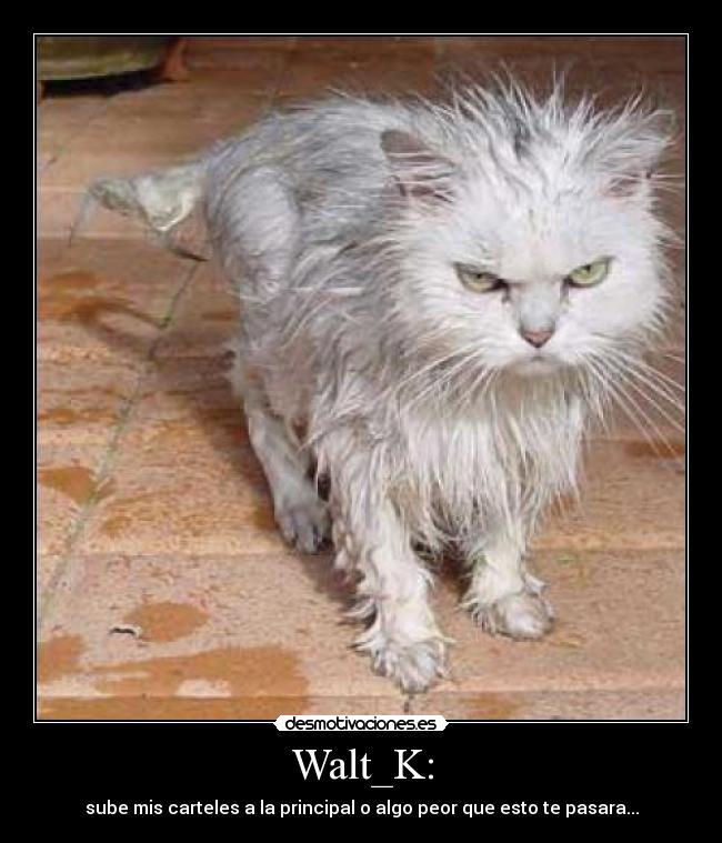 carteles ghjhh desmotivaciones