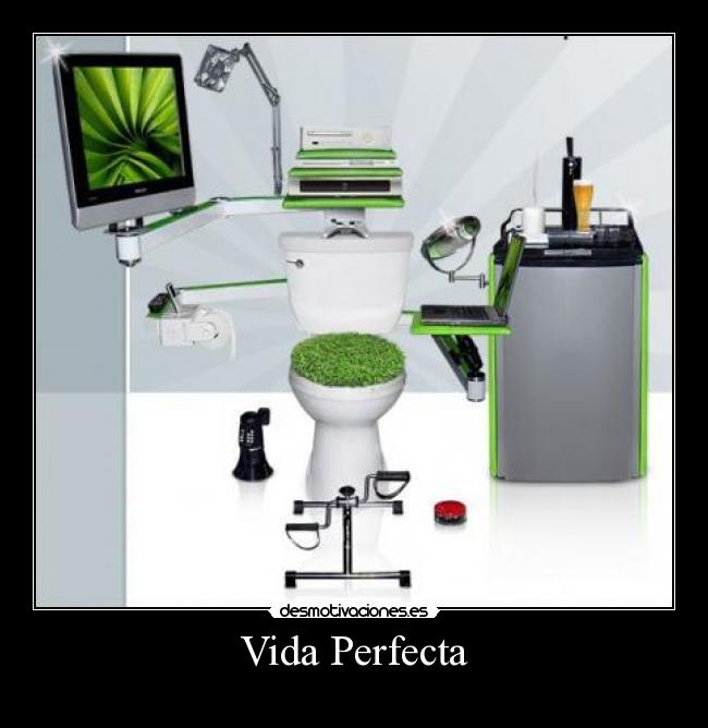 Vida Perfecta -