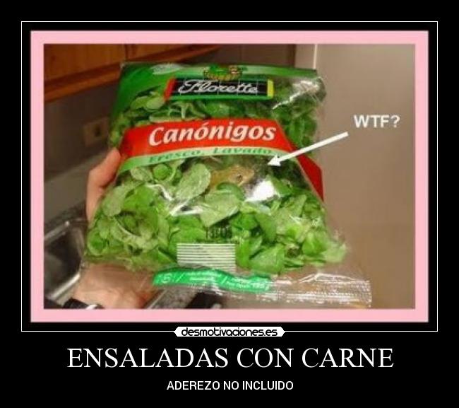 ENSALADAS CON CARNE -