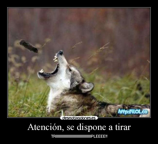 Atención, se dispone a tirar - TRIIIIIIIIIIIIIIIIIIIIIIIIIIIIIIIIIIIIPLEEEE!!