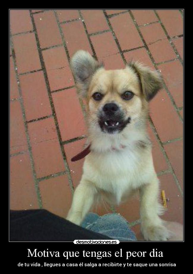 Motiva que tengas el peor dia  - 