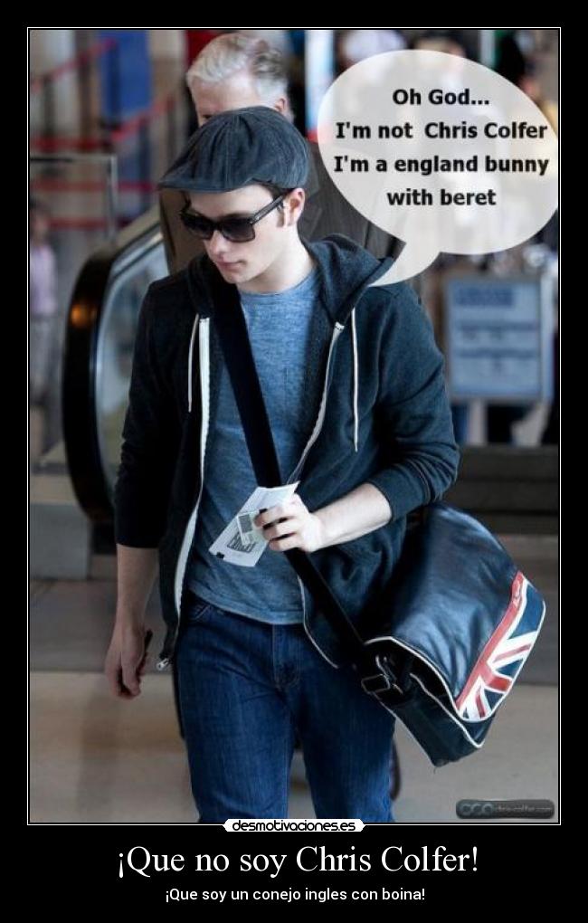 ¡Que no soy Chris Colfer! - ¡Que soy un conejo ingles con boina!