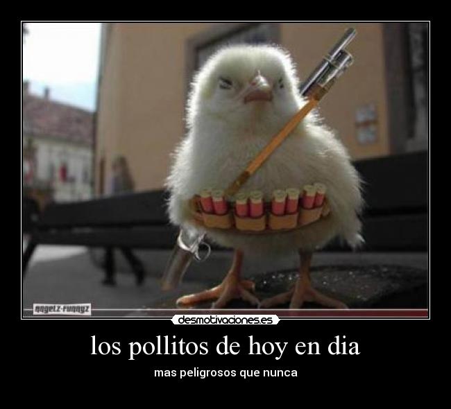 los pollitos de hoy en dia -