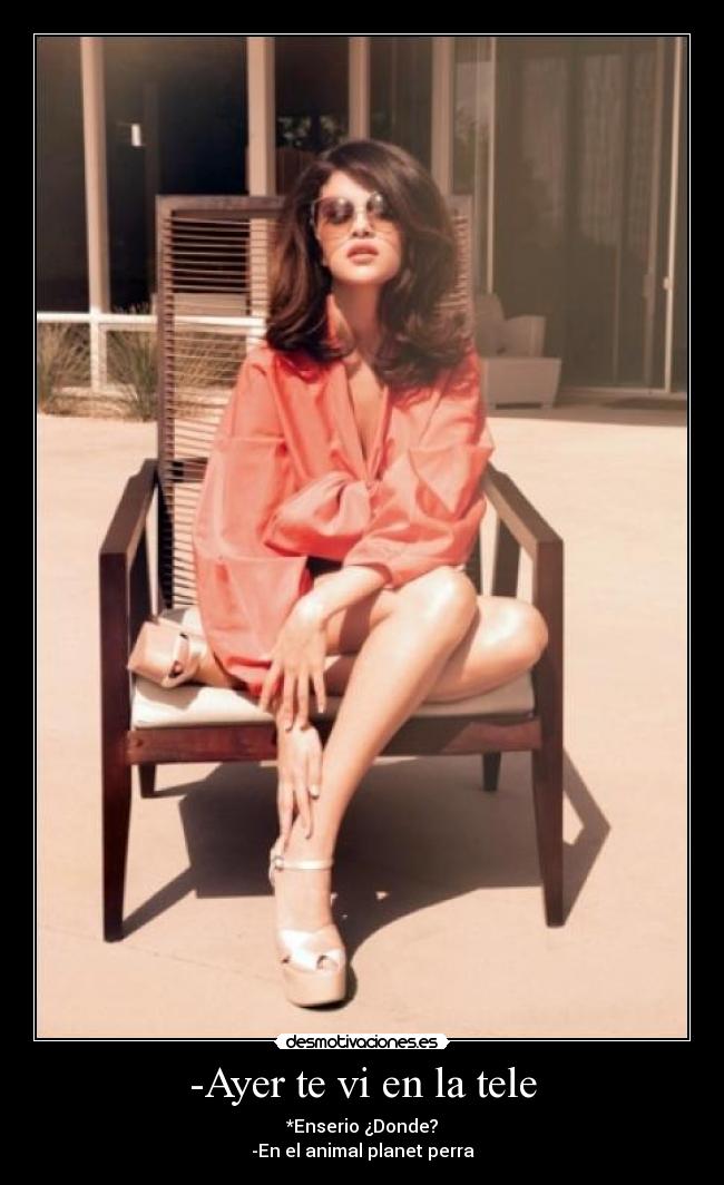 -Ayer te vi en la tele - *Enserio ¿Donde?
-En el animal planet perra