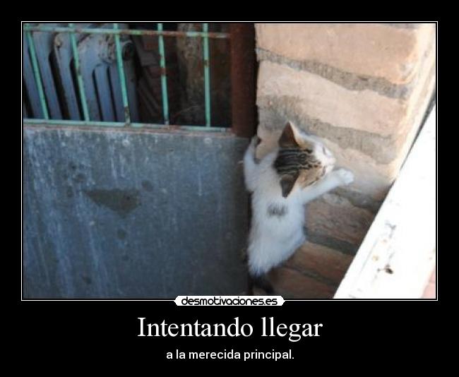 Intentando llegar - a la merecida principal.