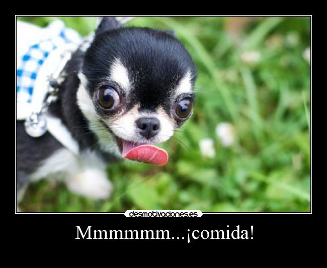 Mmmmmm...¡comida! -