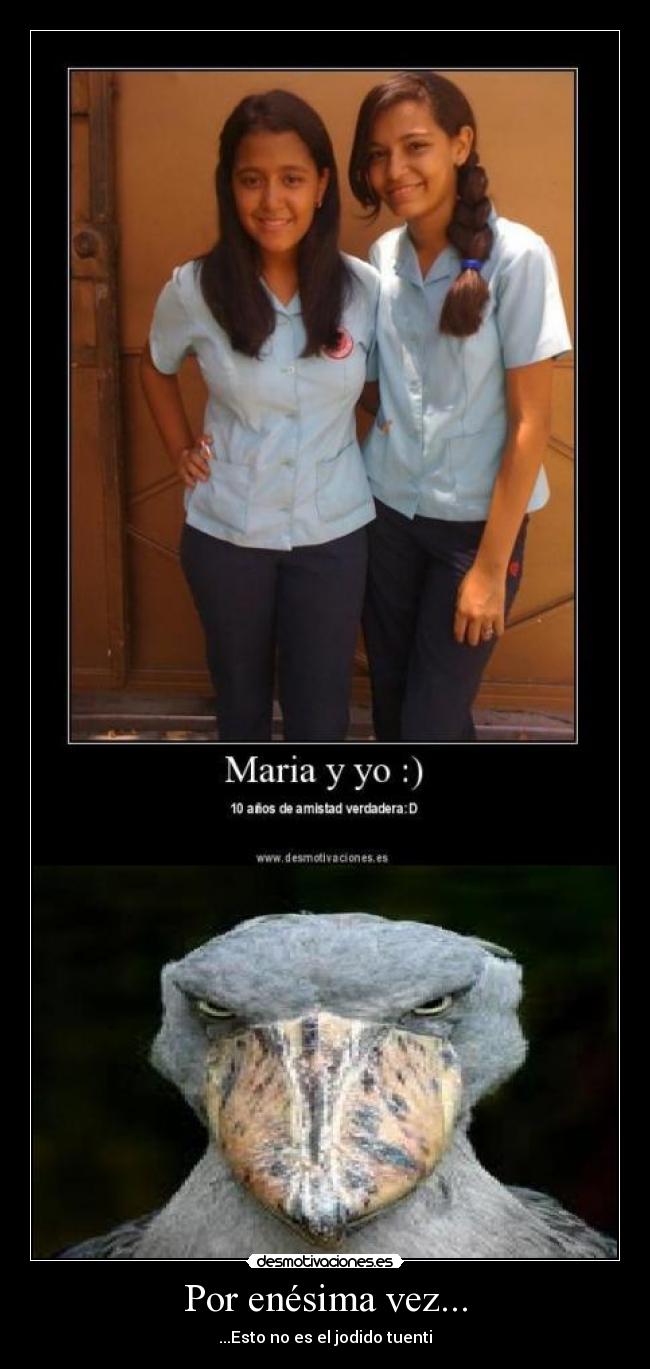 Por enésima vez... -