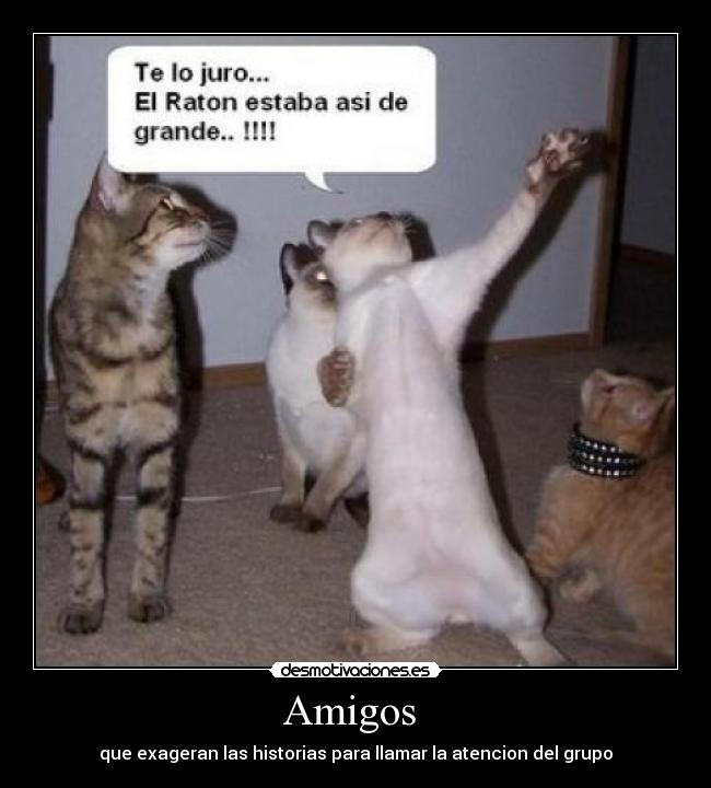 Amigos  - 