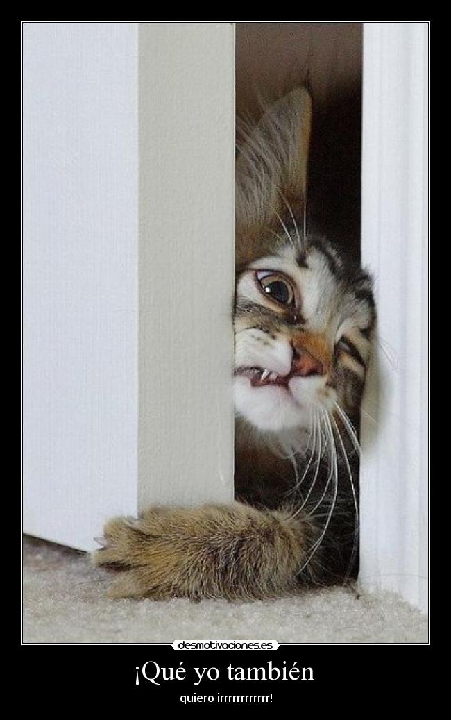 ¡Qué yo también  - 