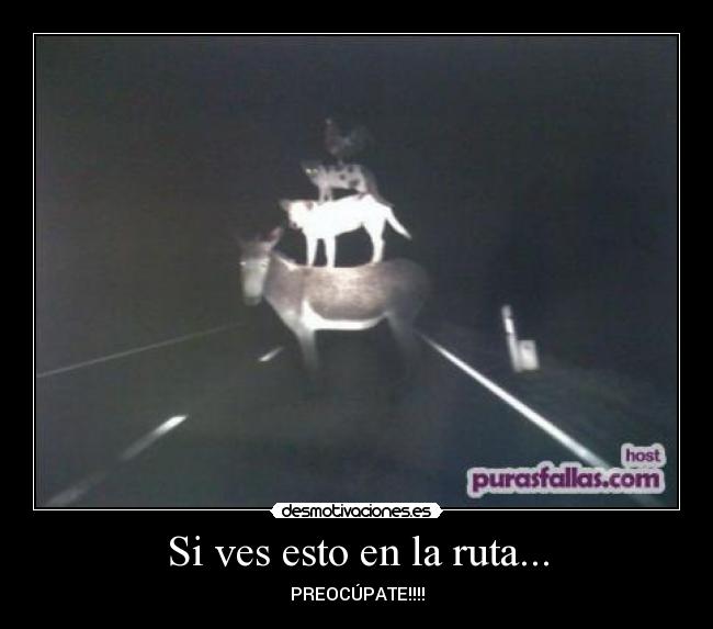 Si ves esto en la ruta... -