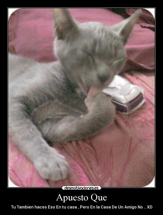 Apuesto Que - Tu Tambien haces Eso En tu casa , Pero En la Casa De Un Amigo No .. XD