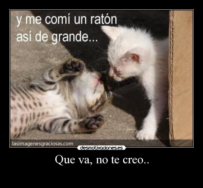 Que va, no te creo.. - 
