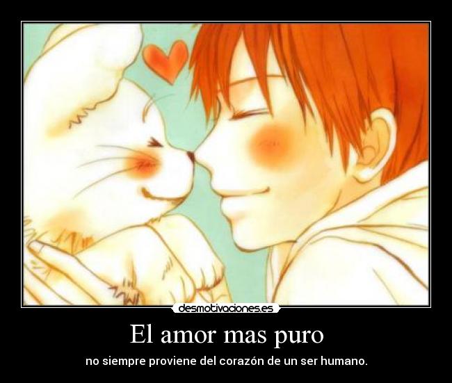 carteles amor anime perro kazehaya kimi todoke amor corazon desmotivaciones