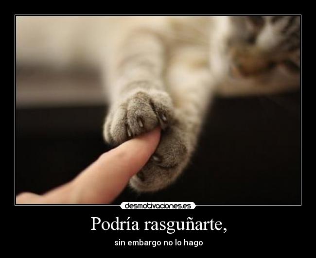 Podría rasguñarte, - 