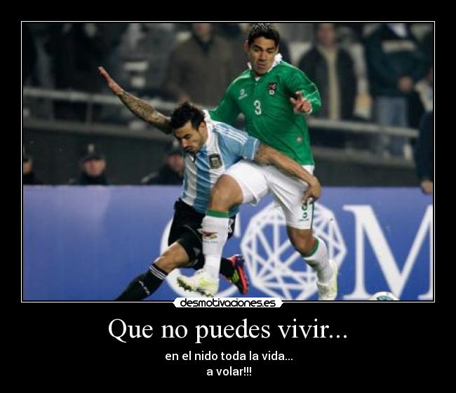 Que no puedes vivir... - en el nido toda la vida...
a volar!!!
