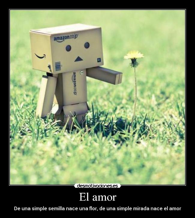 El amor -