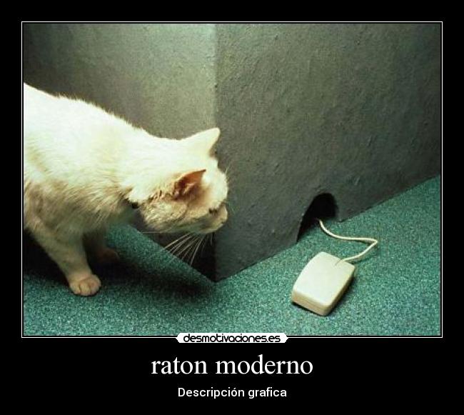 raton moderno -