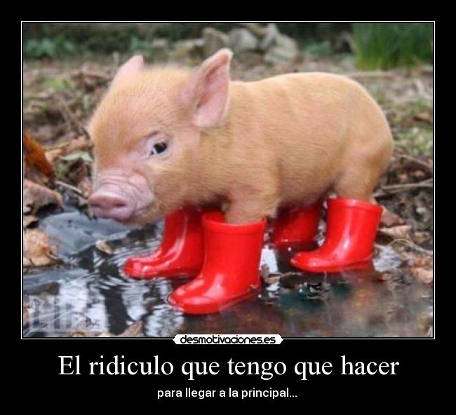El ridiculo que tengo que hacer -