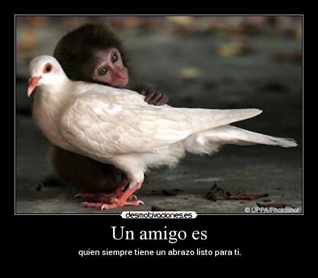 Un amigo es - quien siempre tiene un abrazo listo para ti.