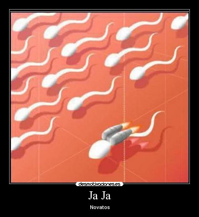 Ja Ja - Novatos